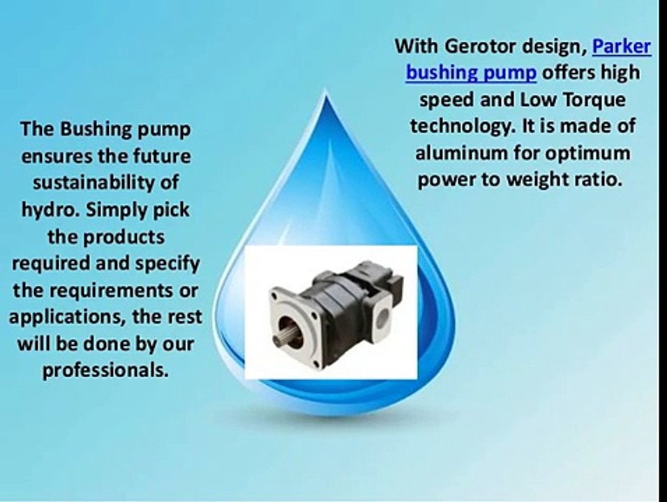 Parker bushing pump the design process