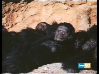 UN DOS TRES "Las mil y una noches" 6-4-1987. 6ª Etapa.