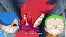 Sanji's Sad Flashback - One Piece 793