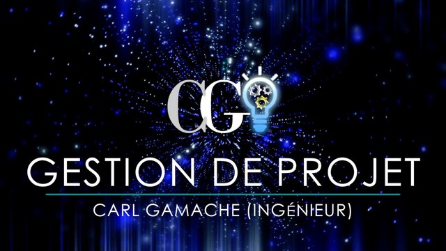 Consultant en gestion de projet - Carl Gamache Ing.