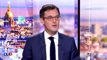 Insolite : un perroquet témoigne à un procès et fait condamner un meurtrier ! (vidéos) 2
