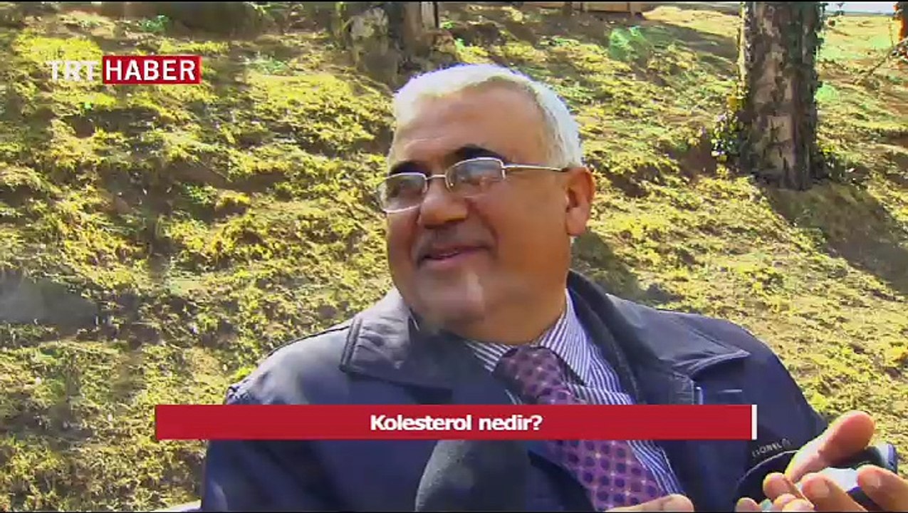 Kolesterol nedir?
