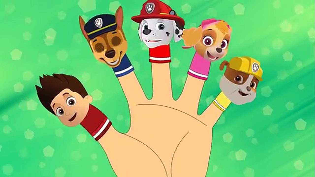 PAW PATROL  finger family song  Nursery rhymes for kids