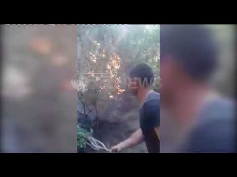 Ora News - Përkeqësohet situata nga zjarri në Ulëz, flakët shumë pranë banesave