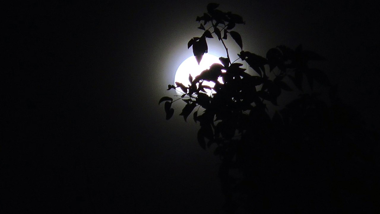 Lunar Eclipse Midnight Chandra Grahan 7th / 8th August 2017