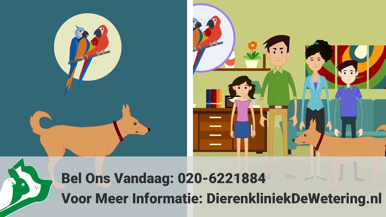Dierenkliniek De Wetering