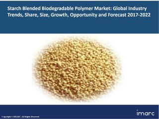 Global Starch Blended Biodegradable Polymer Market | Share | Size | Industry Report and Outlook 2017-2022