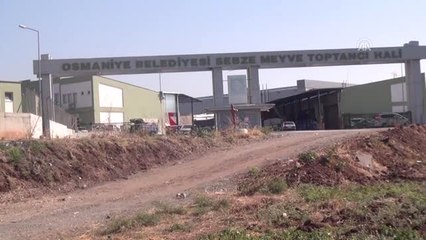 Salçalık Biber Tezgahlara İndi