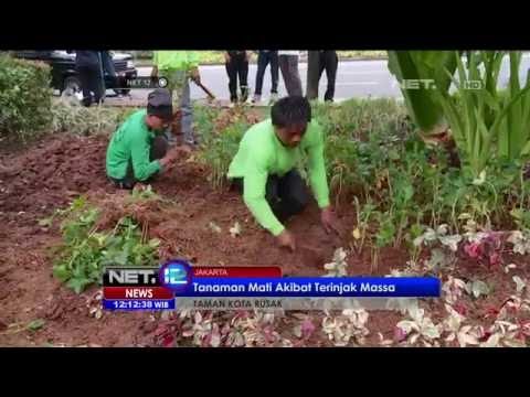 Aksi Demonstrasi Akibatkan Taman Depan Balai Kota Rusak - NET 12