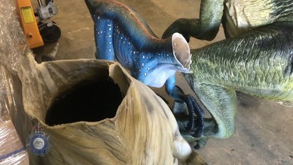 Velociraptors decapitated at Australia's National Dinosaur Museum