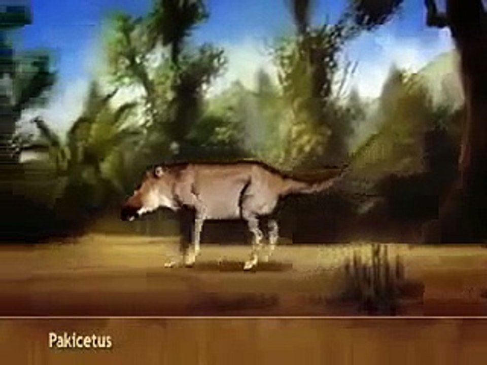 Balinaların Evrimi ve Ara Türler