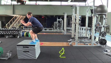 Séance de musculation n°2 (travail en salle)