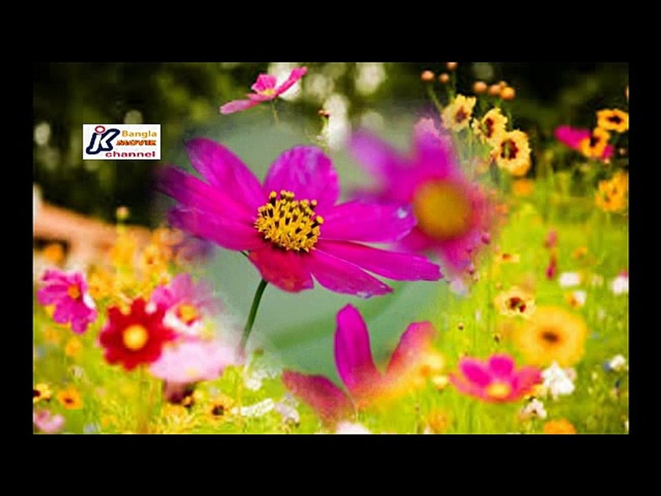 Baroti bochhor pore abar dekha holo dujone-Singer Shahnaz Rahmatullah