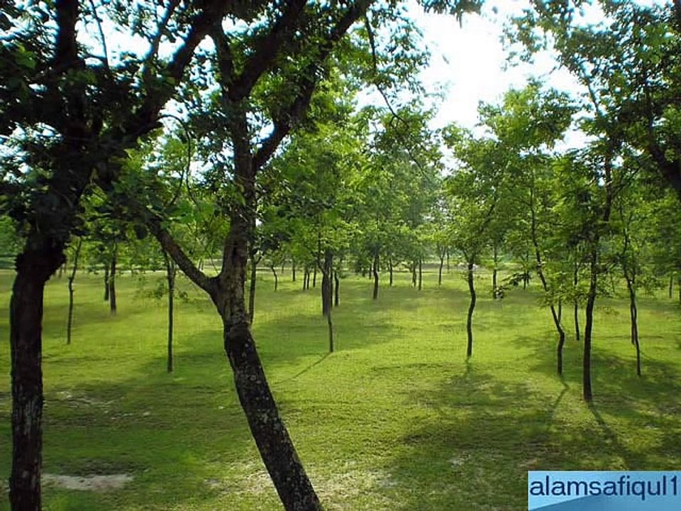 Aami aar kar chokh diye-  Shahnaz Rahmatullah