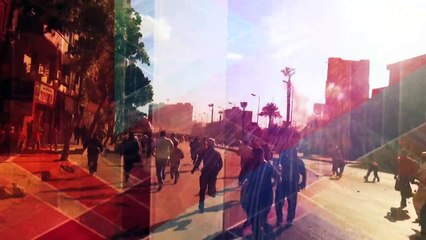 النائبة غادة صقر تلقي صندوق القمامة في إحدى شوارع مدينة رأس البر