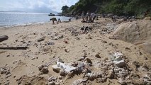 Cierran 11 playas de Hong Kong por contaminación de aceite de palma