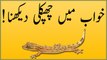 khwabon ki tabeer in urdu - khawab mein Chipkali (lizard) dekhna