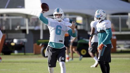 How will Jay Cutler fare with the Dolphins?