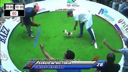 10 gallos del cibao vs sergio w victoria