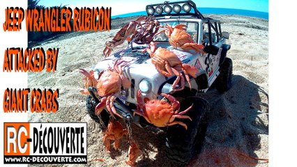 Jeep Wrangler Rubicon attaquée par crabes géants Mesquer France