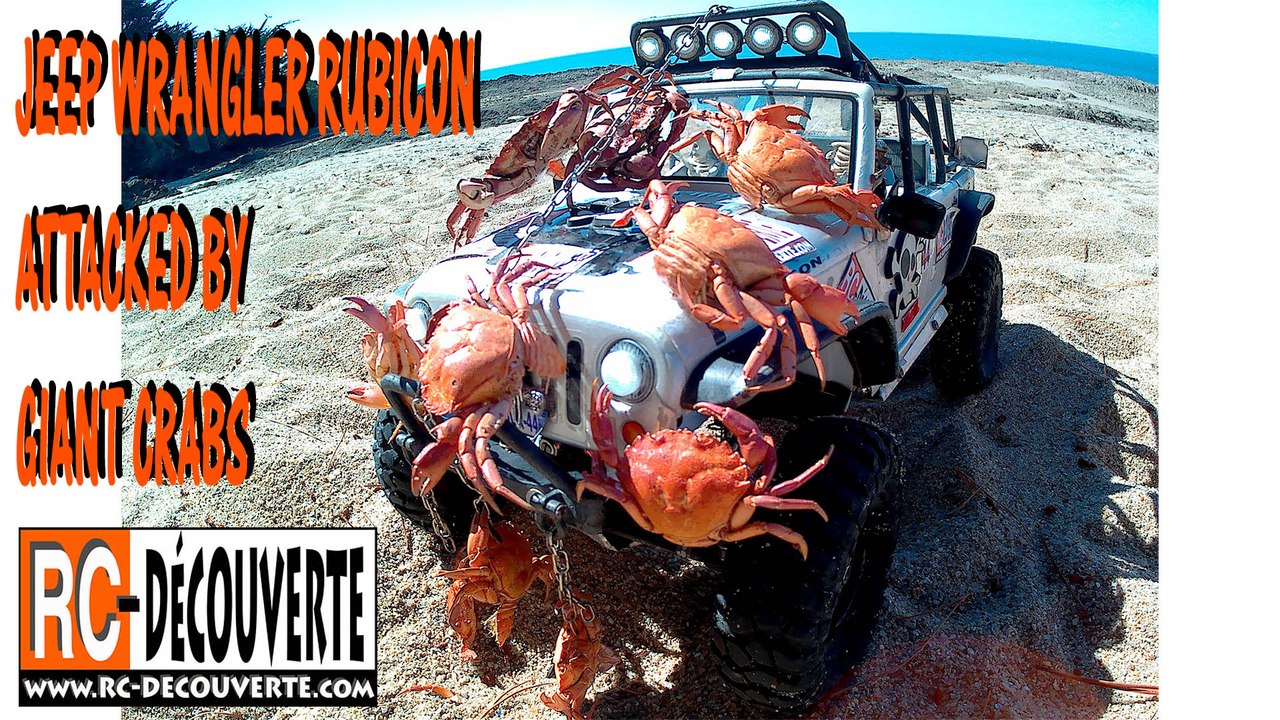 Jeep Wrangler Rubicon attaquée par crabes géants Mesquer France