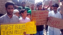 What did these students say_ No exams till Kashmir is resolved, politically