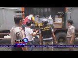 Puluhan Ikan Arwana Disita akibat Penyelundupan Satwa di Lampung - NET 12