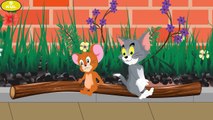 010. Tom and Jerry 2017 Cartoon FANMADE   Tom and Jerry Episode 8-  Tom and Jerry Falling In Love