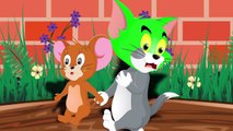 012. Tommy and Jenny 2017 episode 6 - Cat Tommy Sad - cartoons for kids 2017 - cartoons for children 2017