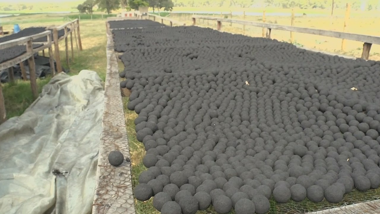 How Kenyans Turn Poo To Cooking Fuel