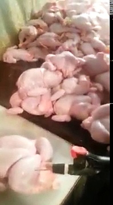 Chicken Inflation
