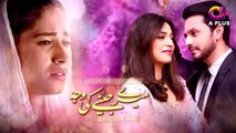 Meray Jeenay Ki Wajah - Episode 74