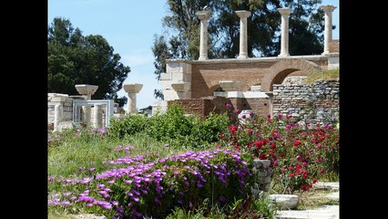 DAILY EPHESUS TOUR BY FLIGHT