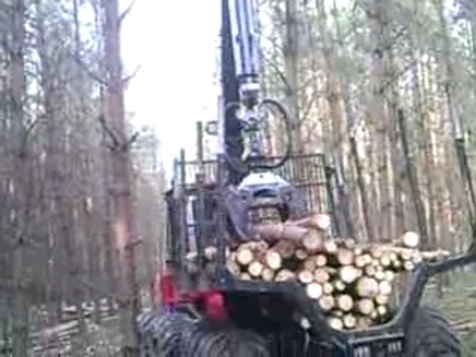 le porteur: qui ramasse le bois