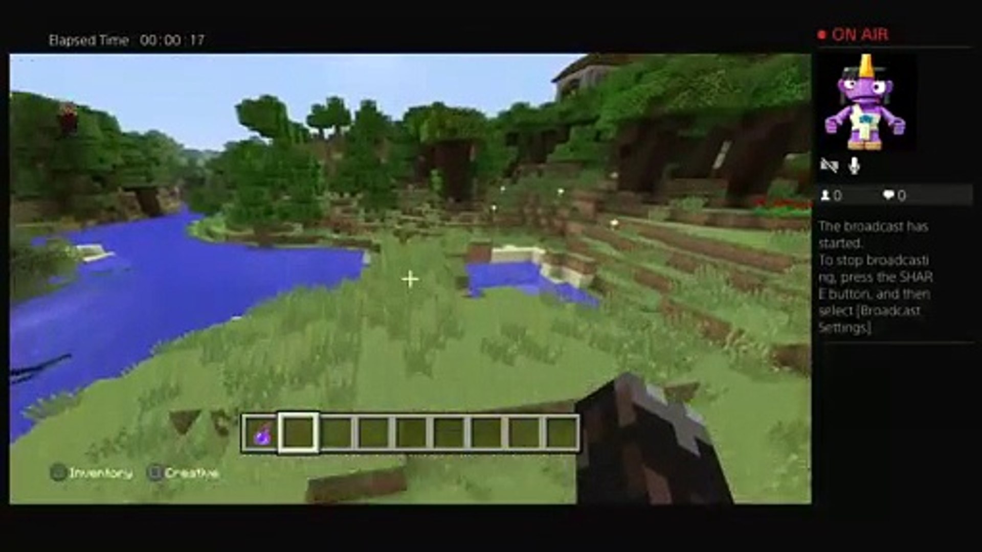 Minecraft survival world (8)