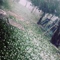 IMPRESIONANTE CAIDA DE GRANIZO EN MISIONES2