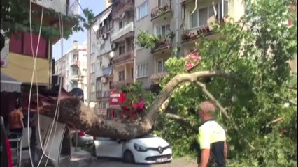 Anıt Çınarın Kırılan Dalı Otomobilin Üzerine Düştü