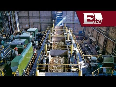 ¿Importación de azúcar mexicana daña al mercado de Estados Unidos? / Dinero con Darío Celis