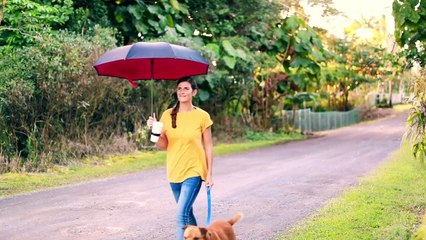 Inverted Umbrella - Buy Best Double Layer, Cup Hundle, Inside Out Umbrella