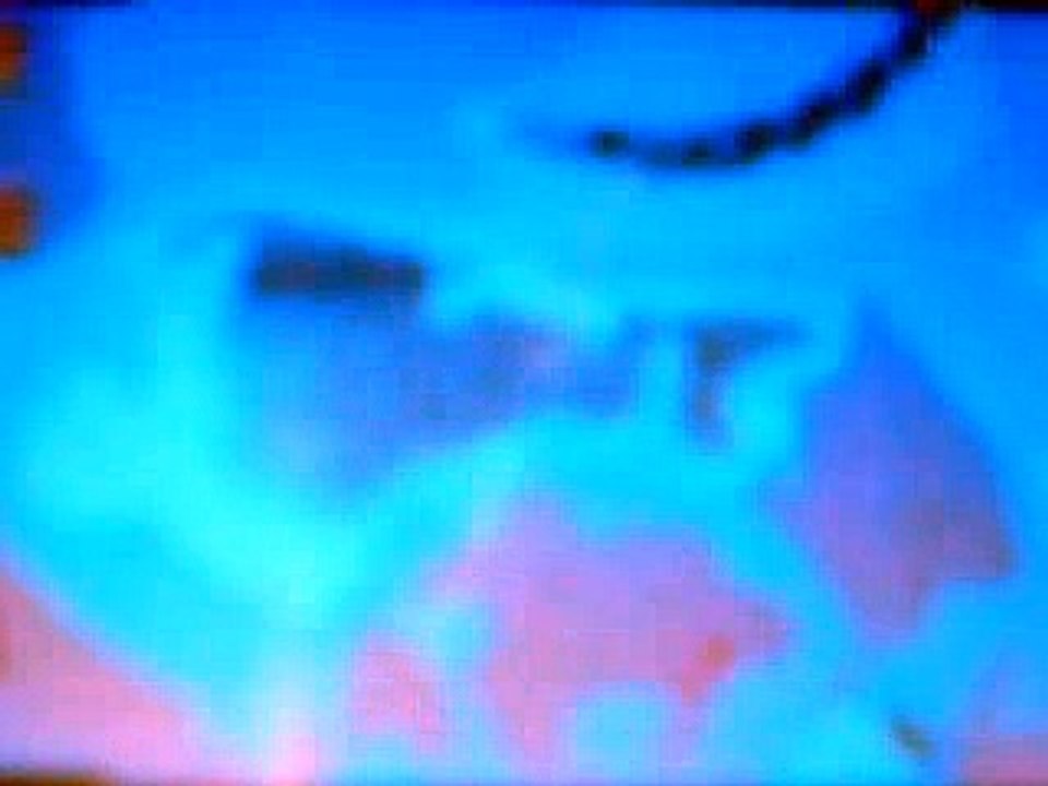 MOV00321[1]
