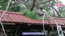 Popular Videos - Taipei & Taipei Zoo