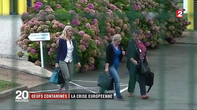 Œufs contaminés : plusieurs enquêtes en cours