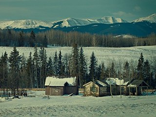 WATCH // Wynonna Earp // Season 2 Episode 10 // Putlockers