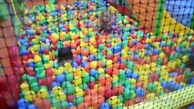 Indoor Playground Family Fun for Kids Play Center Slides Playroom with Balls | TheChildhoo