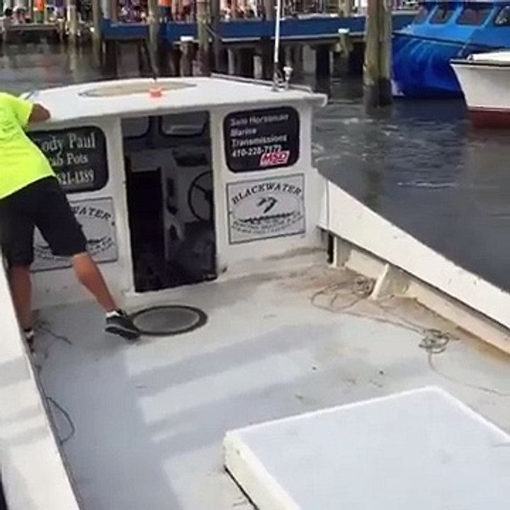 Now THIS is how you Dock!