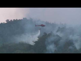 Arrestohen 3 persona për zjarrin në Krrabë