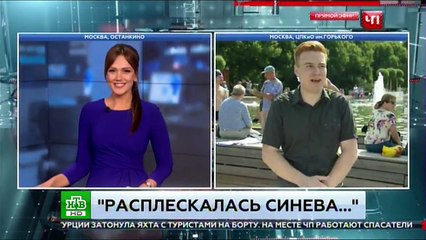 Un journaliste de la chaîne de télévision russe se fait frapper en direct !