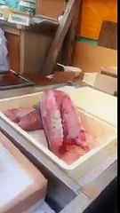 Un filet de poisson toujours vivant dans son bac
