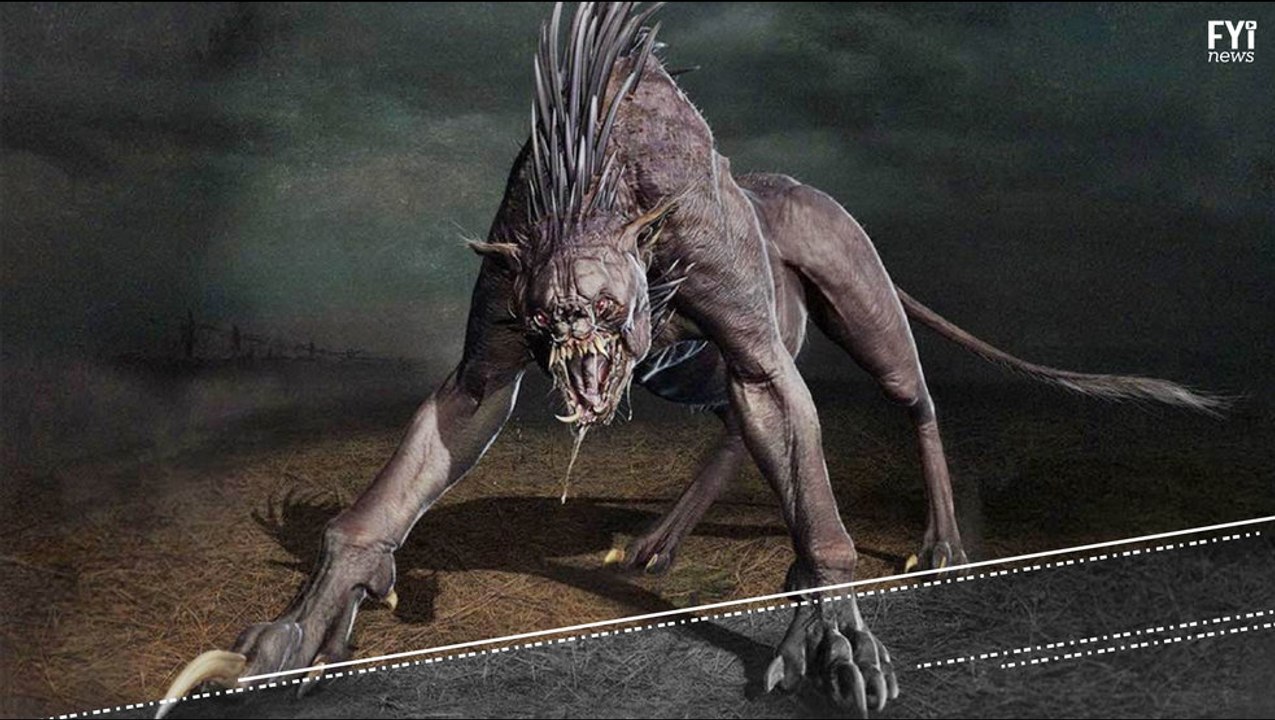 Lenda do chupacabra é desvendada