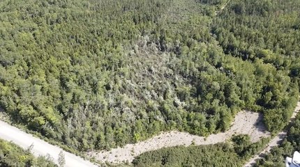 Tornado Damages 2.4 Miles of Forestry Northeast of Millinocket